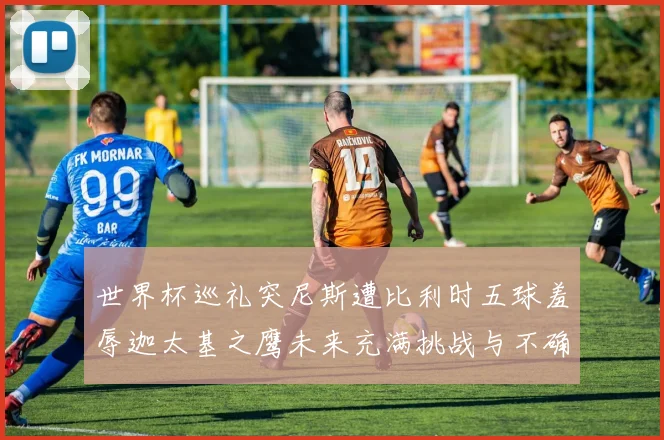 世界杯巡礼突尼斯遭比利时五球羞辱迦太基之鹰未来充满挑战与不确定性