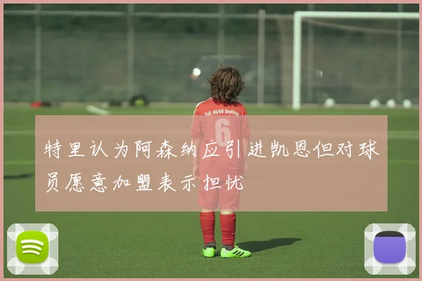 特里认为阿森纳应引进凯恩但对球员愿意加盟表示担忧