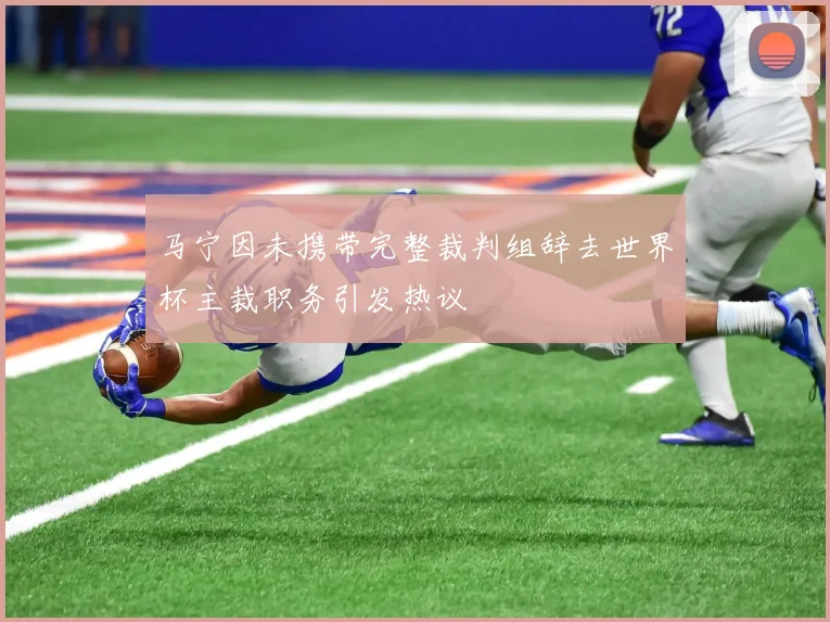 马宁因未携带完整裁判组辞去世界杯主裁职务引发热议