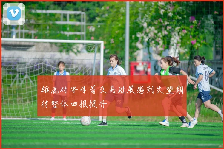 雄鹿对字母哥交易进展感到失望期待整体回报提升